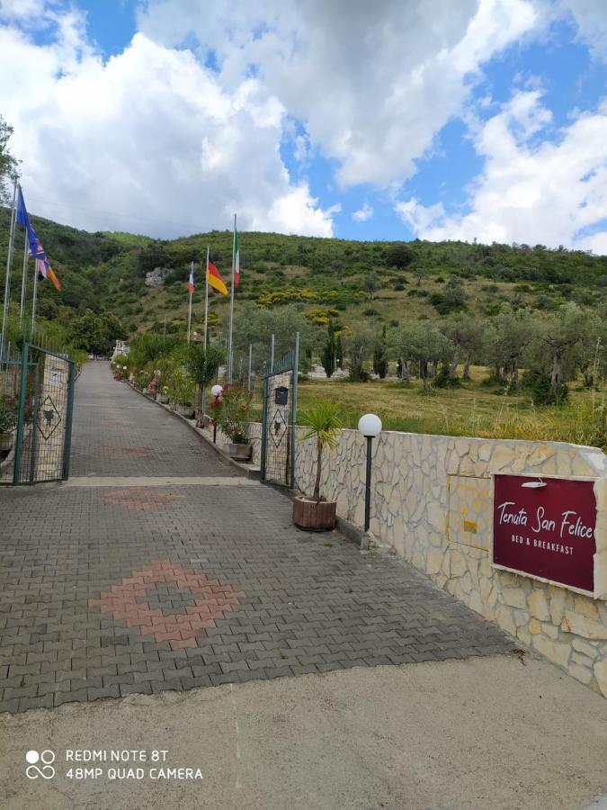 b&b Tenuta San Felice Campagna Esterno foto